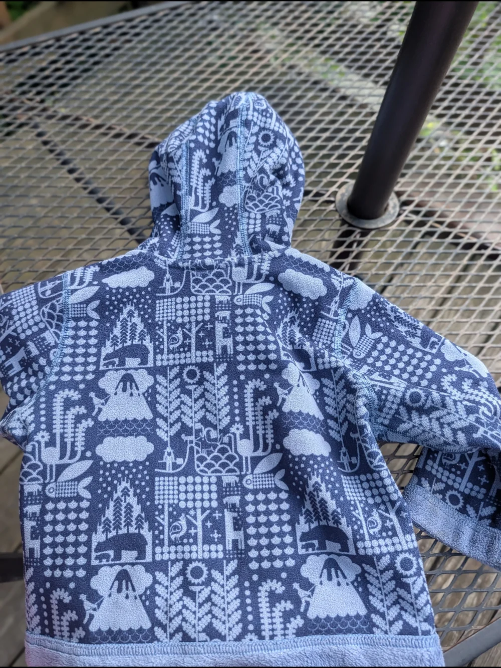 Patagonia Kid's Unisex Fleece Zip Up